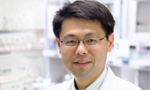 LDK378: A Promising Next-Generation ALK Inhibitor