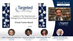 Expert on endometrial cancer