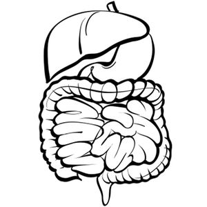Encorafenib/Cetuximab Combos Sustain OS Benefit in BRAF+ Metastatic Colorectal Cancer