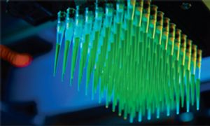 The Genetic Complexity of Cancer: Cancer Centers Take Varying Approaches to Solving the Puzzle