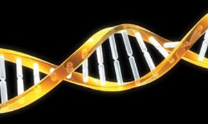 High Levels of KRAS in ctDNA of Pancreatic Cancer May Mean Lower OS