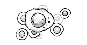 Myeloma Research Sees Transformation Following ODAC Support For MRD End Point