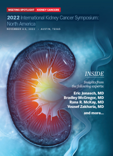 2022 IKCS Meeting Spotlight