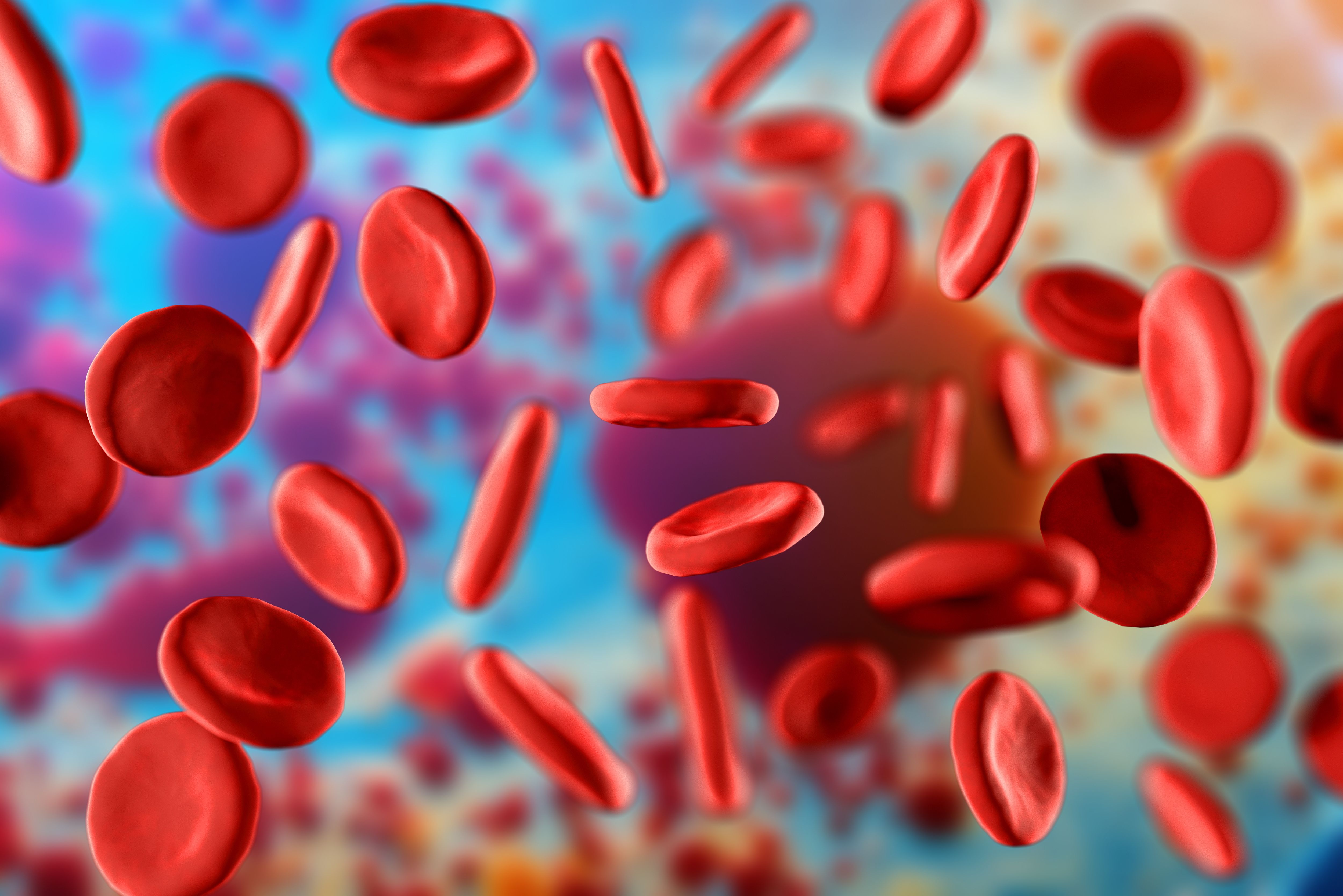 Acalabrutinib Shows Consistent Safety In Older Or Frail Patients With CLL acalabrutinib-shows-consistent-safety-in-older-or-frail-patients-with-cll
