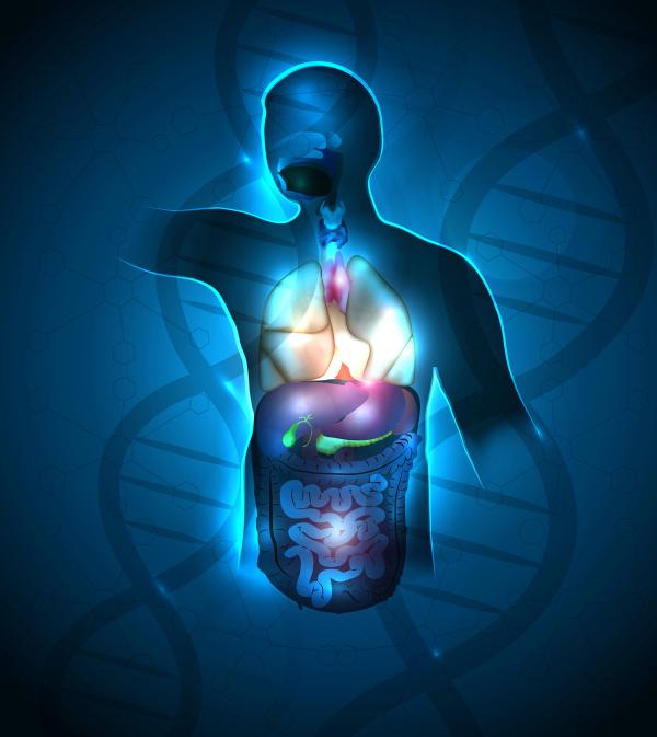 CAR T Cells and Beyond: An Exciting Future for Immunotherapy
