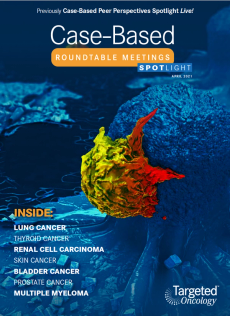 Case-Based Roundtable Meetings Spotlight April 1, 2021