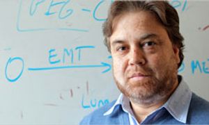 Understanding a Tumor's Microenvironment