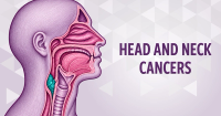 Petosemtamab Plus Pembrolizumab Improves OS in PD-L1+ HNSCC
