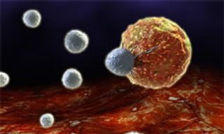 Guess the Diagnosis: Case 1