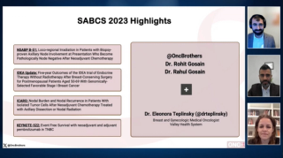 Rohit Gosain, MD; Rahul Gosain, MD; and Eleonora Teplinsky, MD, presenting slides