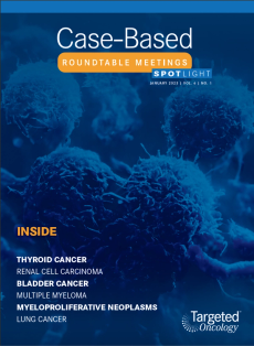 Case-Based Roundtable Meetings Spotlight: January 2023