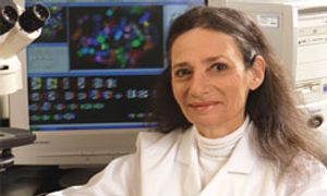 Potential Therapeutic Target Identified in Acute Myeloid Leukemia