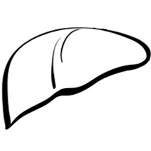 Frenette Talks Deciding Between Frontline Lenvatinib and Sorafenib in HCC