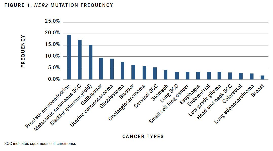 Targeted Treatments Emerge For HER2 Mutations In Lung Cancer