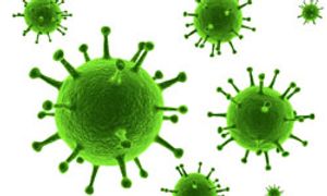 Reolysin Receives Orphan Drug Designation for Ovarian Cancer