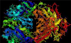 Trials Examine Therapies in HER2-Positive Breast Cancer