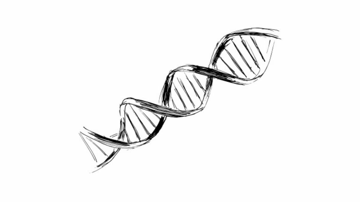 Expanding Precision Medicine’s Impact  on All Tumor Types