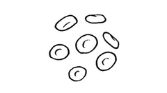 EP. 8 Key Factors Influence Therapeutic Choices in Penta-Refractory Myeloma