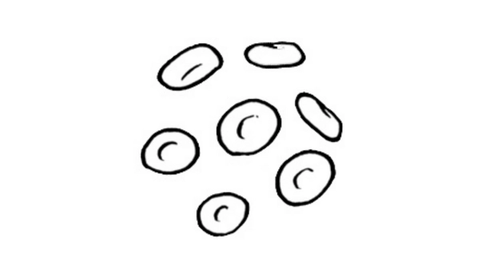 Dochodzenie EFS po dwóch latach wykazuje oznaki obiecującego systemu operacyjnego w MCL Dochodzenie EFS po dwóch latach wykazuje oznaki obiecującego systemu operacyjnego w MCL