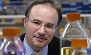 Lesions Leading to Pancreatic Cancer Reduced With Anti-ICAM-1 Antibody