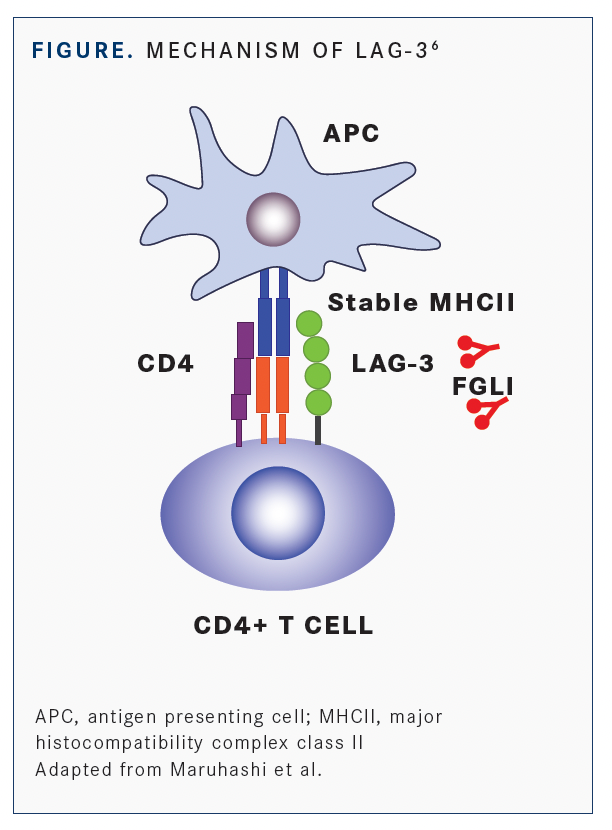 Immune Checkpoints To Watch: LAG-3