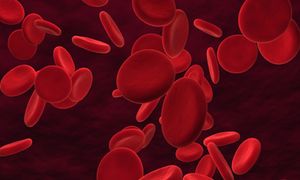 Identifying Predictive Biomarkers in Non-Hodgkin Lymphoma