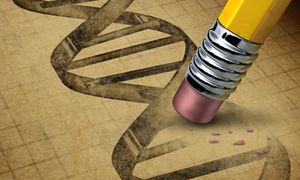 Gene Removal May Pose Future Treatment in Advanced Melanoma