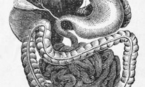 Demcizumab Receives Orphan Drug Designation for Pancreatic Cancer