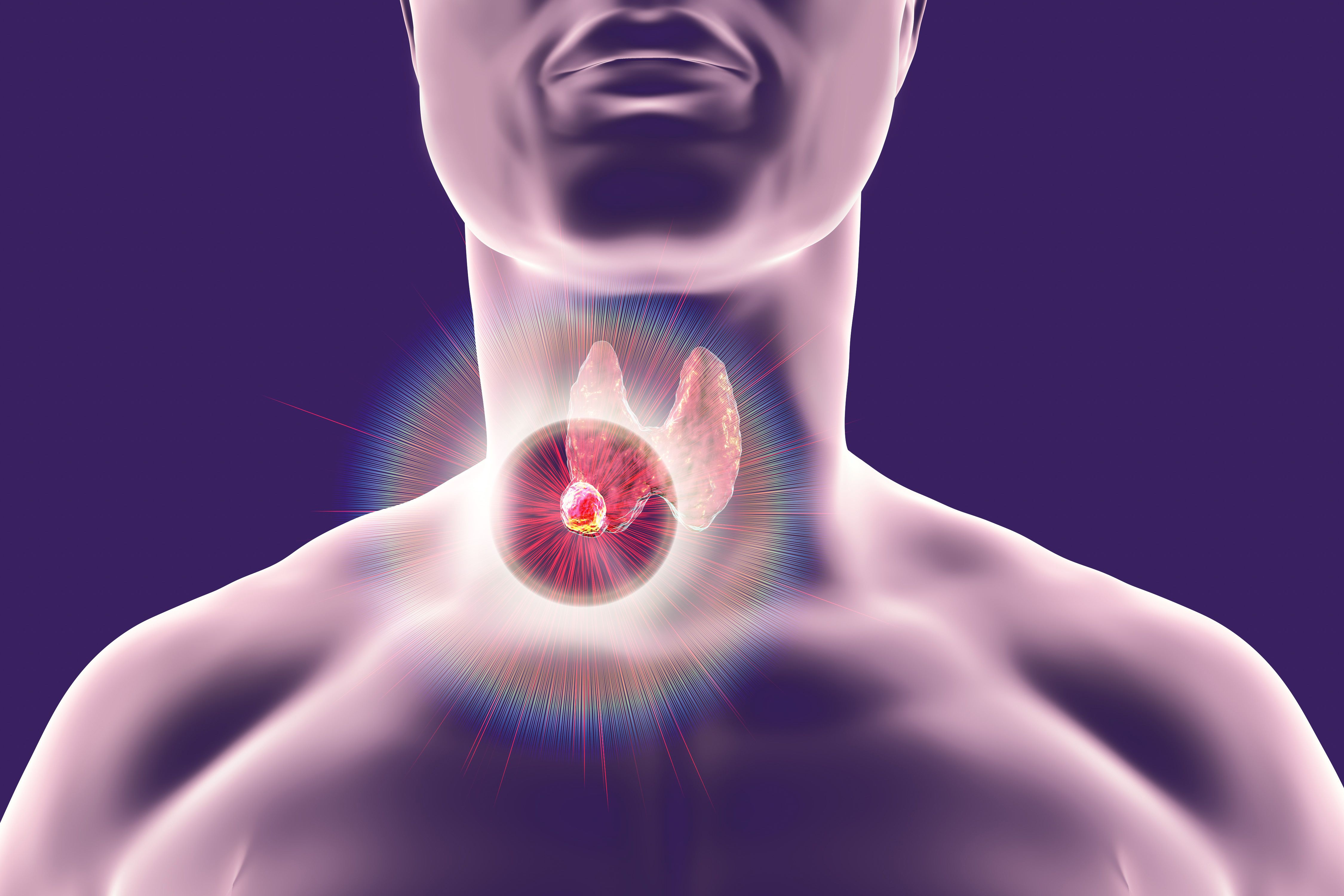 what if my semaglutide gets warm Happens GLP-1 Warm? Understanding Proper Storage and Stability – PlexusDx protein shake Recommendations for SGLT2i versus Size:One Bag