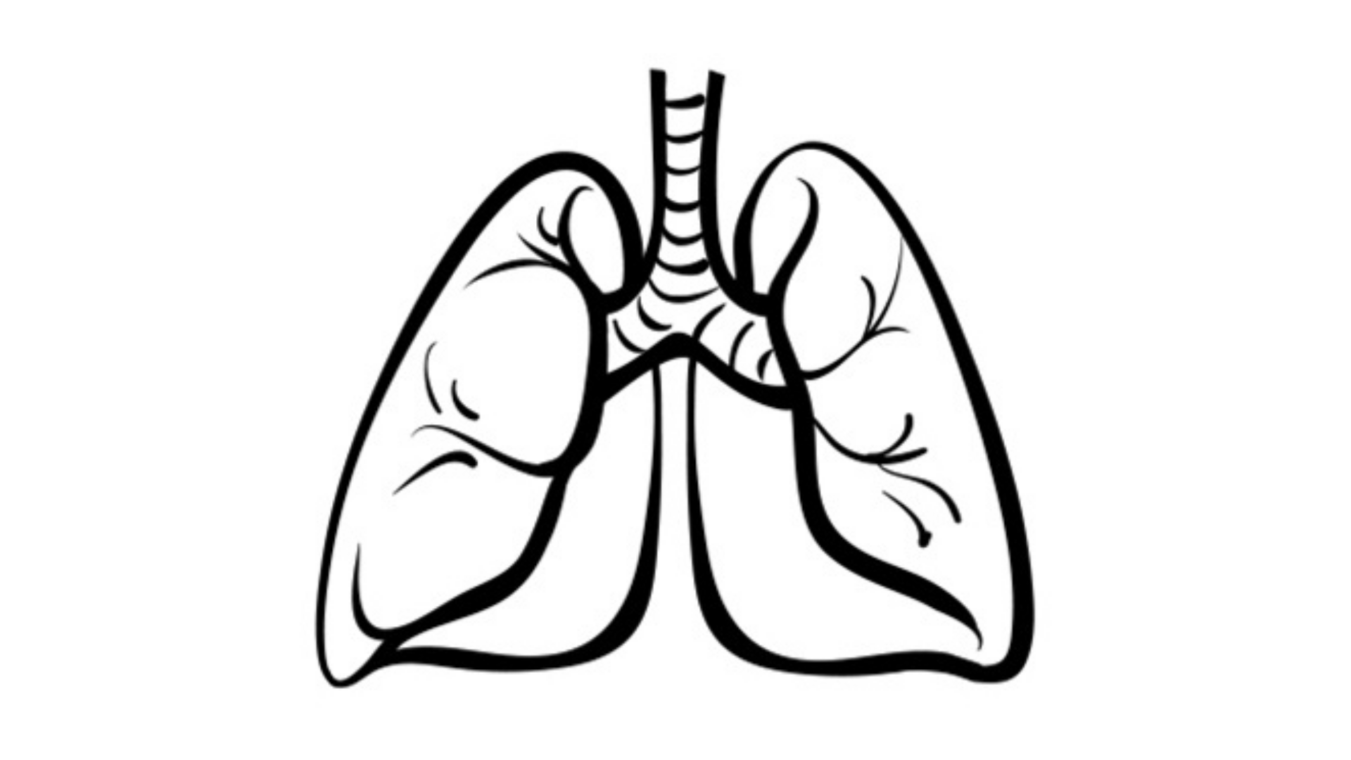How to Draw Lungs - Step 6 | Lungs drawing, Drawing lessons for kids, Step  by step drawing