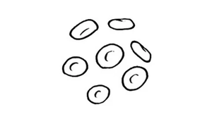 Next Generation Treatments for Blood Cancers: Improved Outcomes in the Forecast