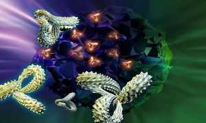 A Little STING May Enhance the Immune System Against Cancer