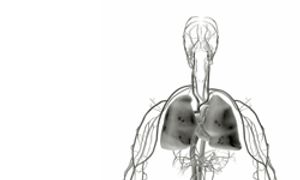 Dacomitinib Shows Promising Activity in EGFR-Mutated and HER2-Mutated NSCLC