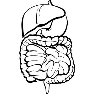Expert Discusses Sequential Therapy Benefits for Patients With Muscle-Invasive Bladder Cancer