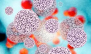 Epidemic in Sex-Related Oral Cancer Highlights Need for Guidelines