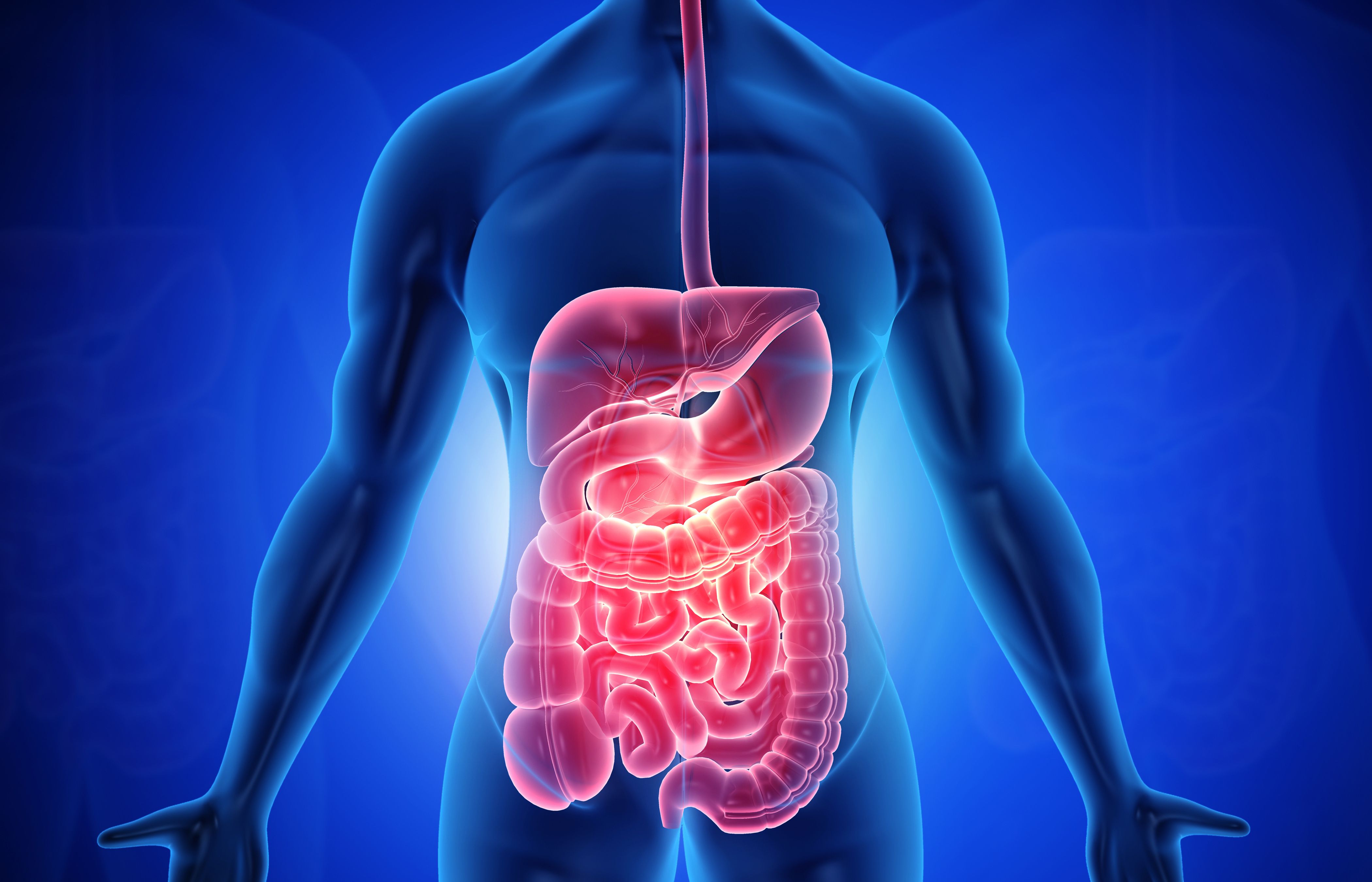 Органы желудок кишечник печень. ЖКТ желудочно-кишечный тракт. Патология желудочно-кишечного тракта. Заболевания органов пищеварительной системы.