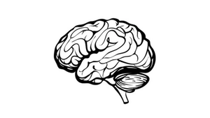 Gender-Specific AI Model Advances Understanding of Glioblastoma Progression and Treatment Response