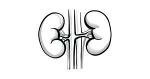 Navigating the Treatment Landscape in Non–Clear Cell Renal Cell Carcinoma