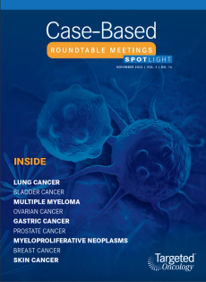 Case-Based Roundtable Meetings Spotlight: November 2, 2022