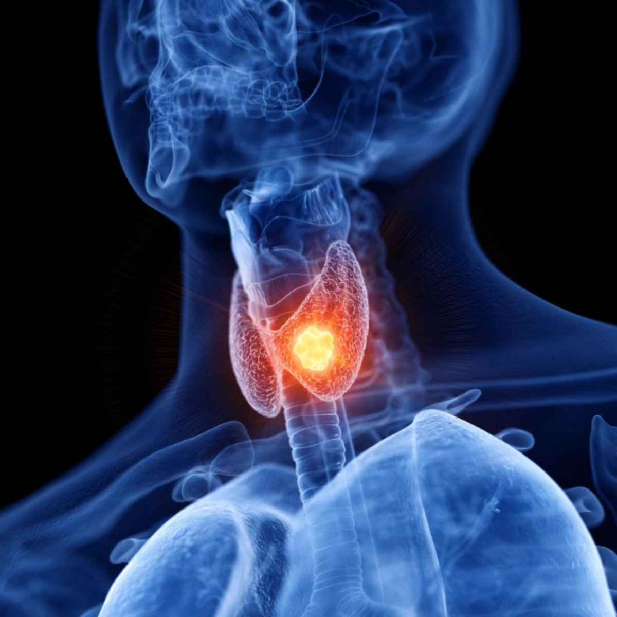 tirzepatide tolerance development Tirzepatide improves pancreatic -cell function in mice and patients with  type 2 diabetes