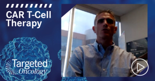 LymphoMAPs: Decoding the Lymphoma Microenvironment