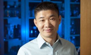 New Research May Open Door to Personalized Ovarian Cancer Treatment