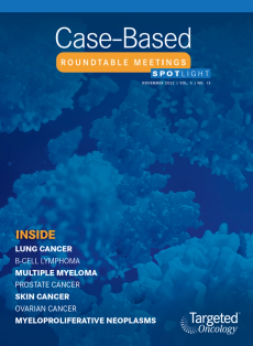 Case-Based Roundtable Meetings Spotlight: November 1, 2022