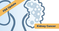 FDA Approves Adjuvant Belzutifan Plus Pembro for Kidney Cancer