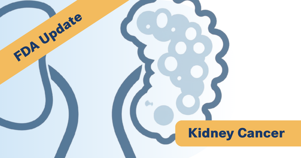 FDA Approves Adjuvant Belzutifan Plus Pembro for Kidney Cancer