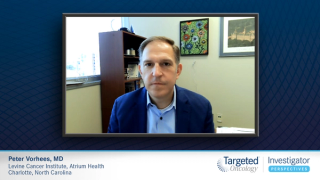 Expert on Multiple Myeloma