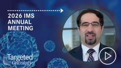 Safety of IMiD-Based Holding Therapy Before CAR T-Cell Therapy in Multiple Myeloma