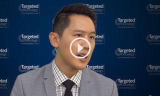 Outcomes in Progressive Large B-Cell Lymphomas Following CD19-Specific CAR T Cells