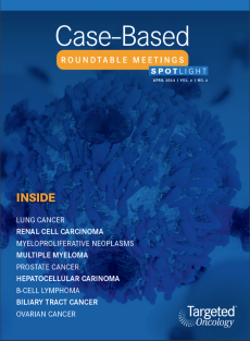 Case-Based Roundtable Meetings Spotlight: April 2, 2023