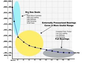 Scoping Don Bently's bearing concept